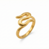 Fluid Motion Statement Ring